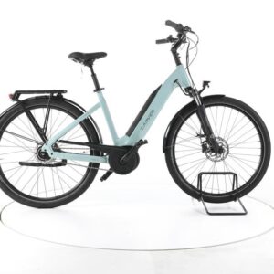 Carver Cityzen E.420 RT City E-Bike Tiefeinsteiger