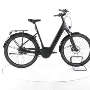 Diamant Beryll Gen.3 City E-Bike Tiefeinsteiger