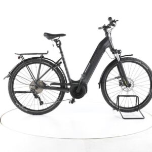 Focus Planet² 5.9 Trekking E-Bike Tiefeinsteiger
