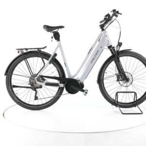 FALTER E 9.8 KS PLUS Trekking E-Bike Tiefeinsteiger