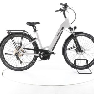 Pegasus Savino Evo 10 CX Trekking E-Bike Tiefeinsteiger