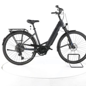 Bulls Lacuba Evo 11 Trekking E-Bike Tiefeinsteiger