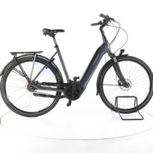 Batavus Finez Ego Power Exclusiv City E-Bike Tiefeinsteiger