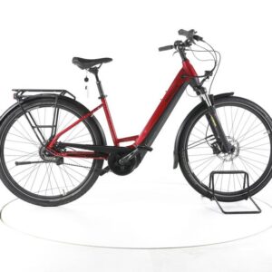 Pegasus Premio EVO 5R Belt City E-Bike Tiefeinsteiger