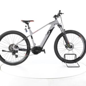 R Raymon HardRay E 6.0 E-Bike