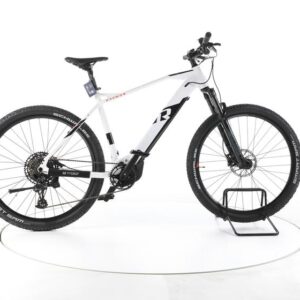 R Raymon Hardray E 7.0 E-Bike