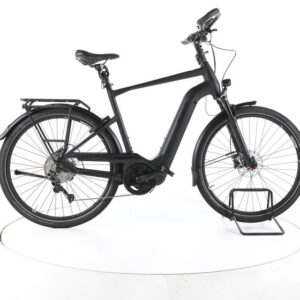 Pegasus Premio EVO 10 Lite Comfort Trekking E-Bike