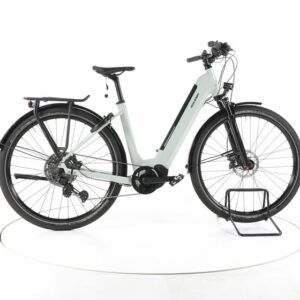 Raleigh Dundee 11 Trekking E-Bike Tiefeinsteiger