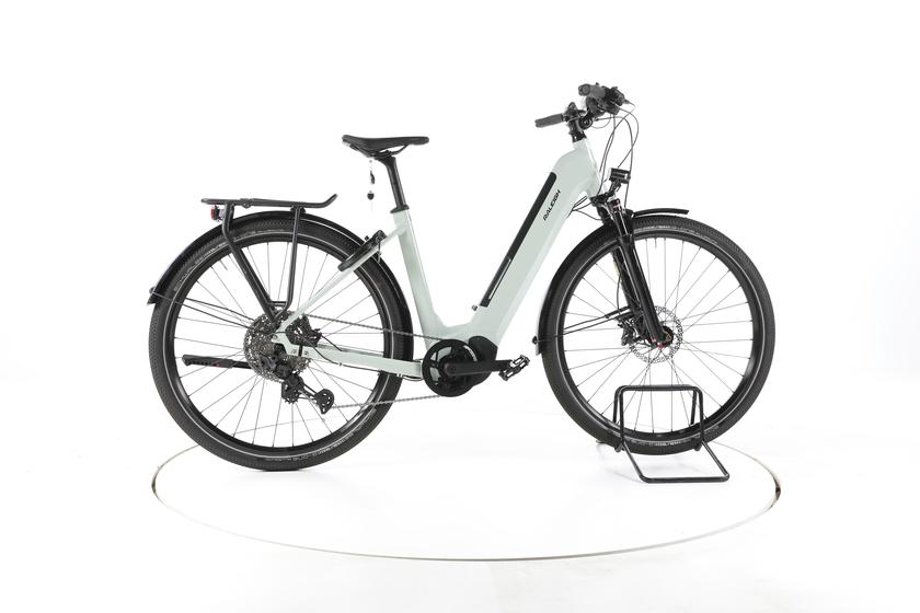 Raleigh Dundee 11 Trekking E-Bike Tiefeinsteiger