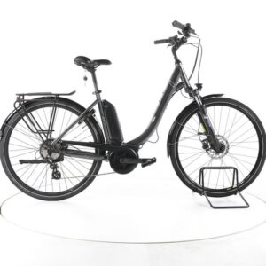 Triumph E-Bird Ultra Trekking E-Bike Tiefeinsteiger