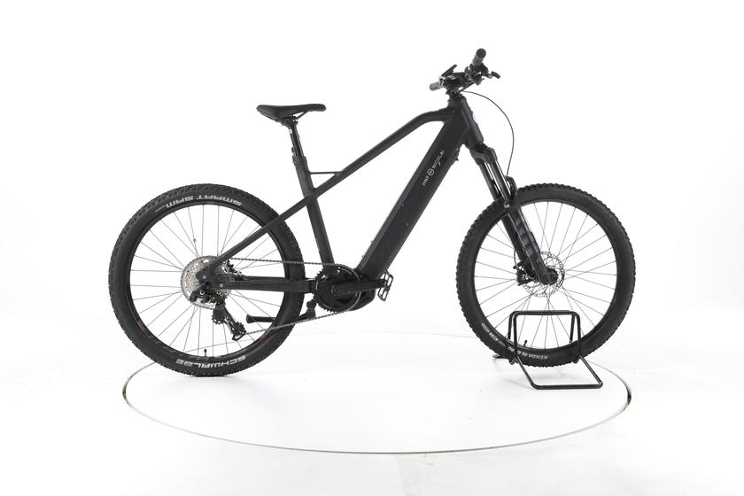 HNF Nicolai XD4 Eco Naked E-Bike