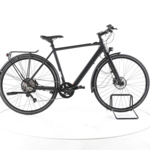 Rabeneick TS-E Trekking E-Bike