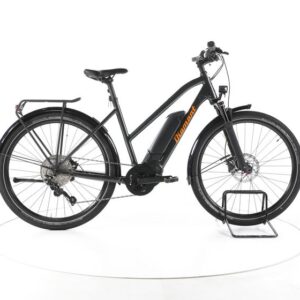 Diamant Zing Deluxe Trekking E-Bike