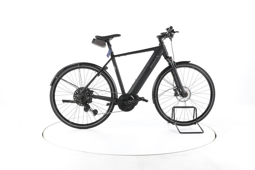 Riese & Müller Roadster Touring Trekking E-Bike