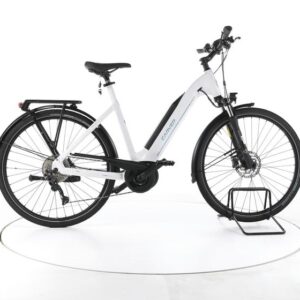 Carver Route E.420 Trekking E-Bike Tiefeinsteiger