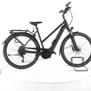Pegasus Solero EVO 9 Trekking E-Bike