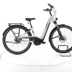 Pegasus Savino City E-Bike Tiefeinsteiger