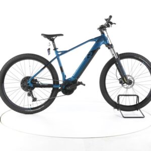 R Raymon HardRay E 5.0 E-Bike