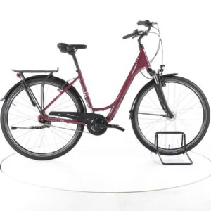 Raleigh Chester Fahrrad City & Trekking