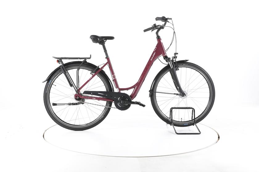 Raleigh Chester Fahrrad City & Trekking