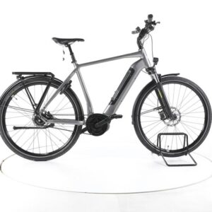 Rose Xtra Watt Evo Plus 2 City E-Bike