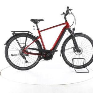 Pegasus Premio Evo 10 Lite Trekking E-Bike