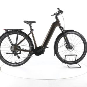 R Raymon Tahona Trekking E-Bike Tiefeinsteiger 2024