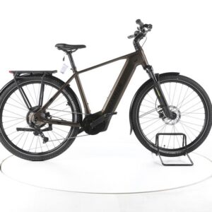 R Raymon Tahona Trekking E-Bike 2025