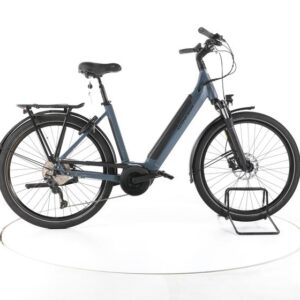 Winora TB300 Trekking E-Bike Tiefeinsteiger