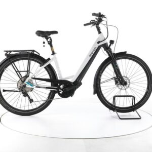 Pegasus Premio EVO Lite Trekking E-Bike Tiefeinsteiger