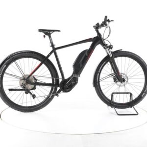 Wittich WIS 10 Trekking E-Bike