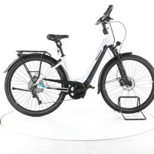 Pegasus Evo Lite 10 Comfort Trekking E-Bike Tiefeinsteiger