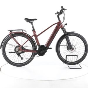 EBIKE 13ZEHN Trekking E-Bike