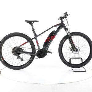 R Raymon HardRay E-4.0 E-Bike