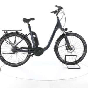 Raleigh KINGSTON 8 City E-Bike Tiefeinsteiger