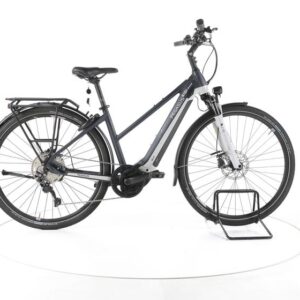 Pegasus Premio Evo 10 Lite Trekking E-Bike