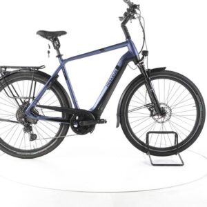 Pegasus Strong Evo 10 Lite Trekking E-Bike