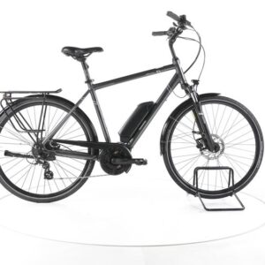 Triumph E-Bird Ultra Trekking E-Bike