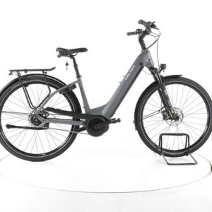 FALTER E 9.4 City E-Bike Tiefeinsteiger 2024