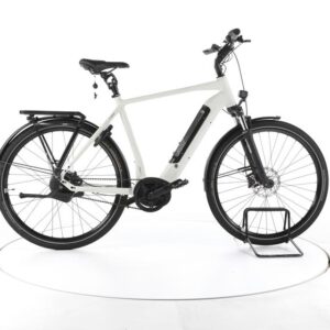 Rose XTRA WATT EVO PLUS 3 City E-Bike