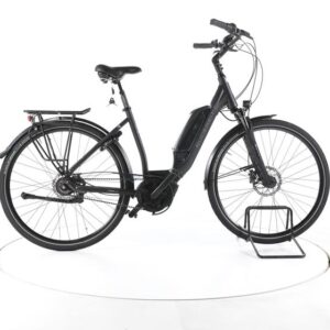Gudereit EC-4.5 RT City E-Bike Tiefeinsteiger