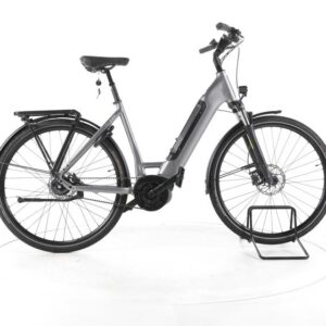 Rose Xtra Watt Evo Plus 2 City E-Bike Tiefeinsteiger