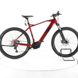 R Raymon HardRay E 4.0 E-Bike