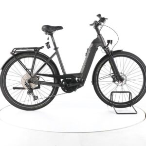 Hercules Futura Max I-12 Trekking E-Bike Tiefeinsteiger