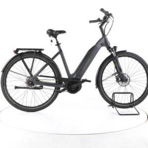 Carver Cityzen E.420 City E-Bike Tiefeinsteiger