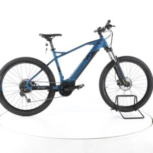R Raymon HardRay E 5.0 E-Bike