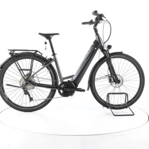 Pegasus Premio Evo 10 Lite Trekking E-Bike Tiefeinsteiger