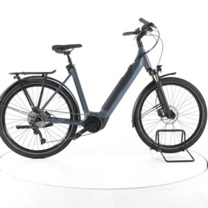 Winora TB300 Trekking E-Bike Tiefeinsteiger