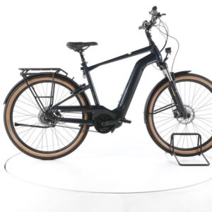 Pegasus Savino 5 City E-Bike 2024