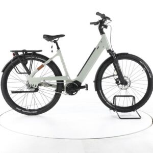 Liv Allure E+2 City E-Bike Tiefeinsteiger